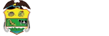 NEON_RACE_BRAVEROSBOX_SPONSOR_ALCALDIA_BUGALAGRANDE_VALLE